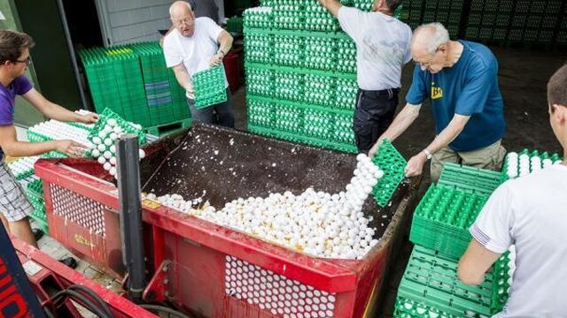 Oproep pluimveehouders aan media: 'Help ons in het publieke debat'