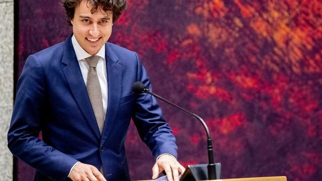 'Partijtop GroenLinks doet niets met motie over basisinkomen'