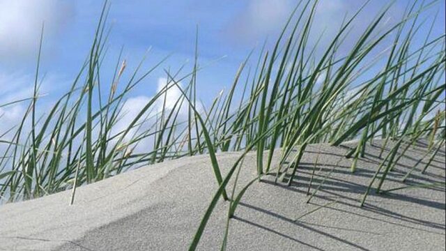 Zandwinning gevaar voor bodemleven Noordzee