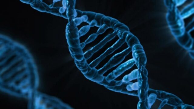 Stand.nl: Het DNA van alle Nederlanders moet in een databank worden opgeslagen