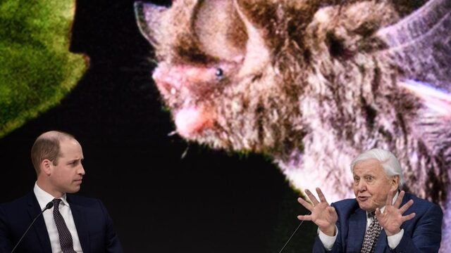 'David Attenborough heeft gelijk: de Hof van Eden bestaat niet meer'