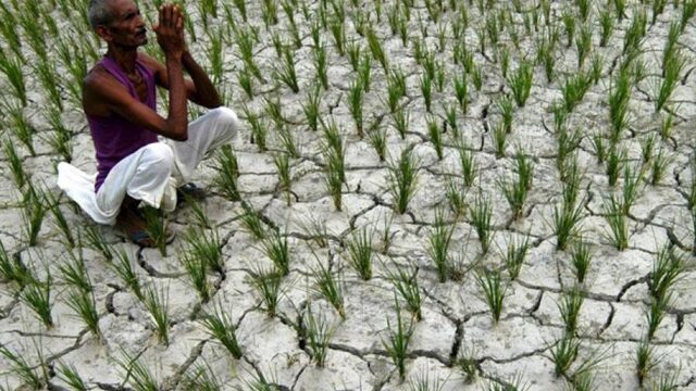 De Heilige Koe #5: Crisis op het Indiase platteland