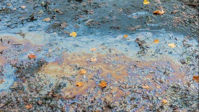 Bacteriën eten vervuilde grond schoon