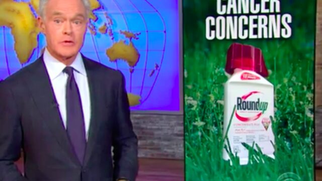 Controversieel bedrijf Monsanto heet voortaan Bayer