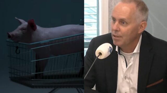 'Wakker Dier zijn de jihadisten van de dierenwereld'