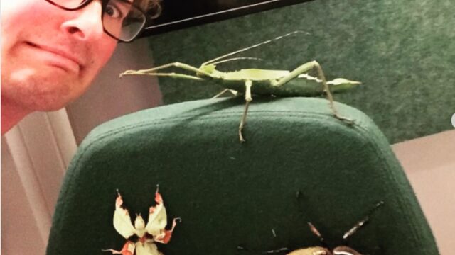 'Insecten zijn echt mijn ding'