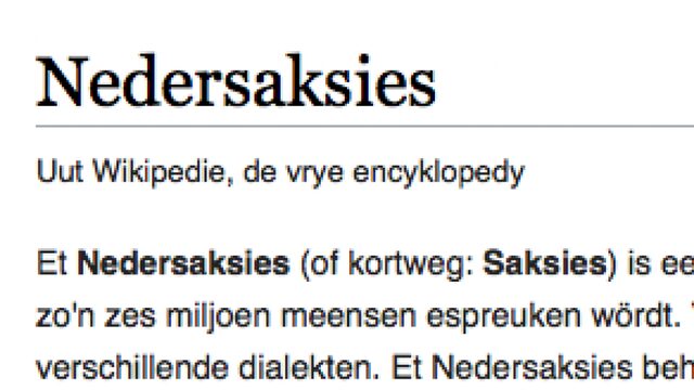 Doe normaal, zeggen de kinderen van Hendrik Jan Bökkers als ie plat praat