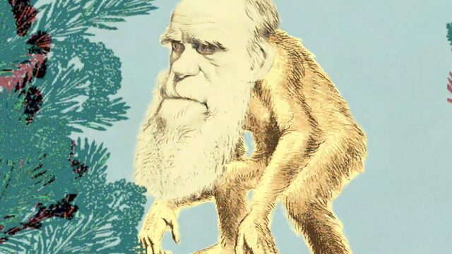 Podcast Tijdgeest #2: Waarom biologen vroeger apen en mensen wilden kruisen