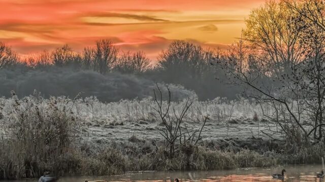 Dieren in de winterse kou