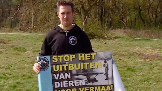 Is vuur in paardenshows dieronvriendelijk? Vraag het de paarden!