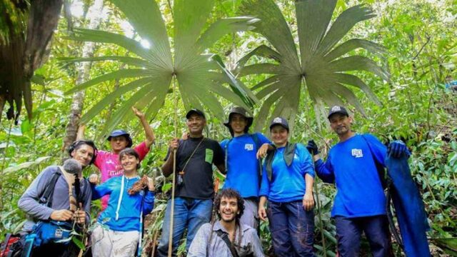 'Ik heb jaren voor de FARC gevochten, nu vecht ik voor de natuur'