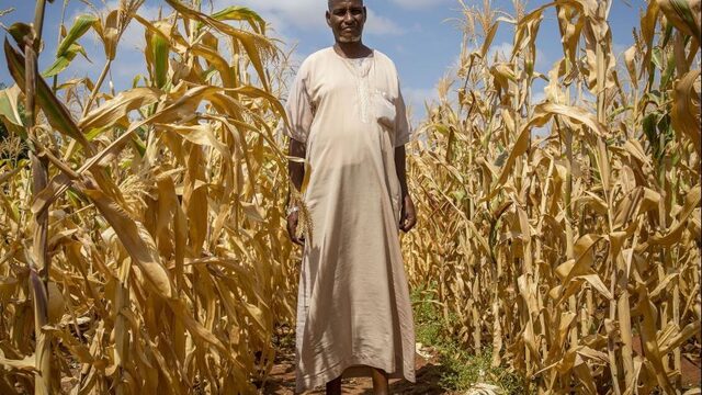 'De Wereldbank kan het goed bedoelen, maar feitelijk nodigen ze de kinderlokkers uit op een kinderfeestje'