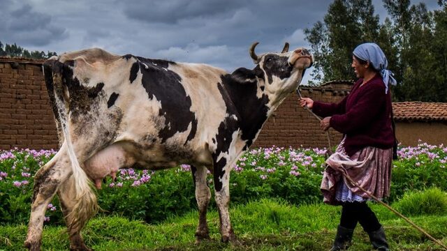 Sanne Derks zegde haar baan in het onderwijs op en werd prijswinnend fotograaf