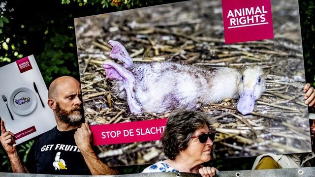 'Stiekem filmen mag niet, maar is voor hoger doel'