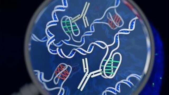 Bijzonder: nieuwe dna-structuur ontdekt in levende cellen