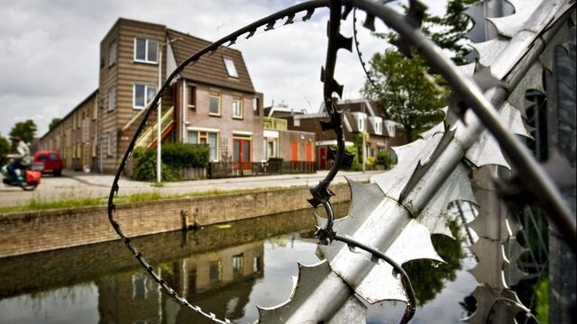 Top 600: meer dan de helft is geestelijk gehandicapt