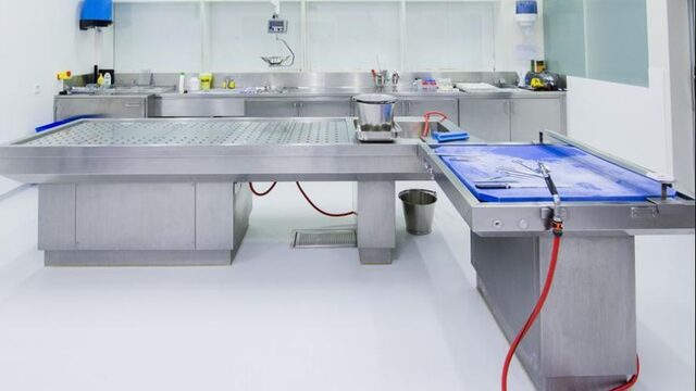 'Als je man, vrouw of kind doodgaat zeggen we in Nederland: zoek het maar lekker uit'