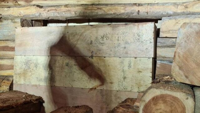 Recordvangst drugs onderschept: 'Er gaan koppen rollen'
