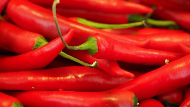 Is het wel de bedoeling van de natuur dat wij chilipepers eten?