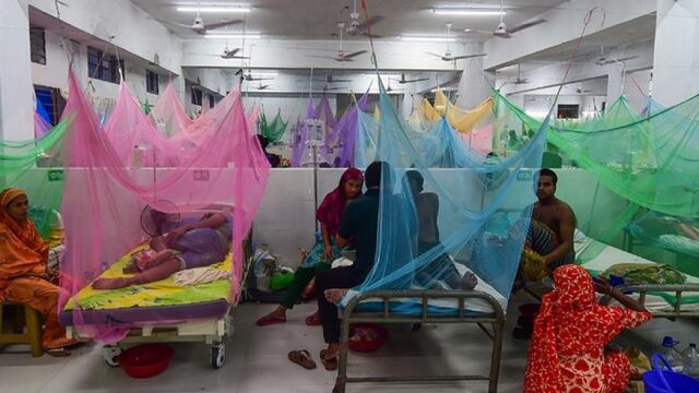 Besmettingsgevaar: dengue-uitbraak eist steeds meer slachtoffers