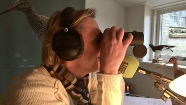 Gaan deze 4 initiatieven grutto van ondergang redden?