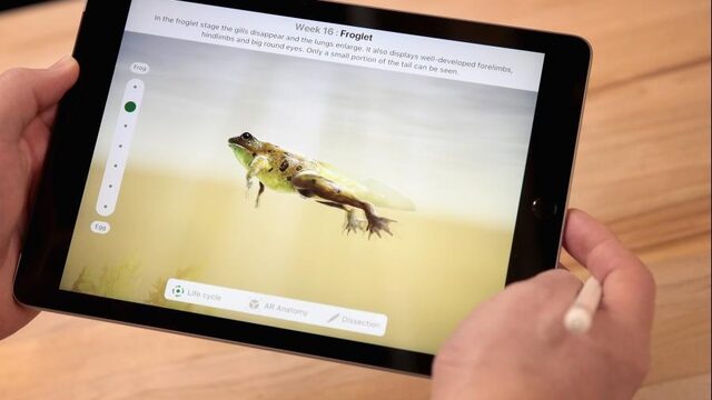 WHO: kleuters niet meer dan een uur per dag achter een scherm