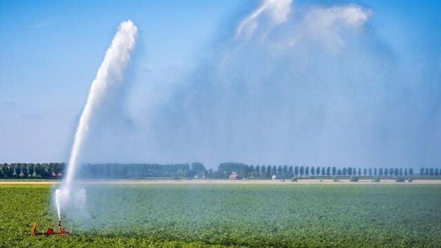 3 aanpassingen om Nederland hittebestendig te maken