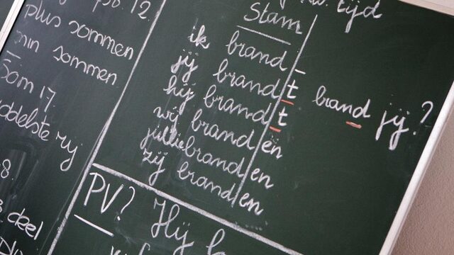 Stand.nl: We moeten de Nederlandse taal meer omarmen