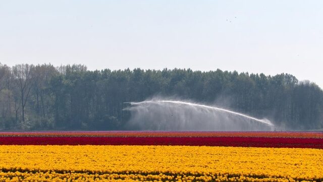 Bollengif in babyluiers leidt tot gezondheidsrisico's