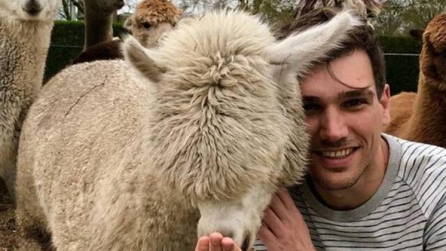 'Slangen, spinnen en alpaca's zijn niet geschikt als hulpdier'