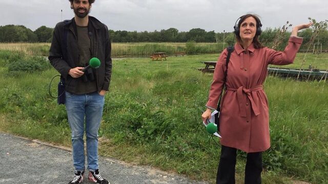 Ruben Hein stond oog in oog met koningspinguïns: 'Ongelofelijk om te zien'