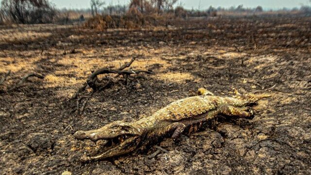 Hoe kan het natste stukje aarde in lichterlaaie staan?