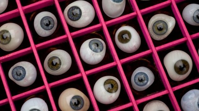 Wat bepaalt tot hoever je kunt komen in het leven?