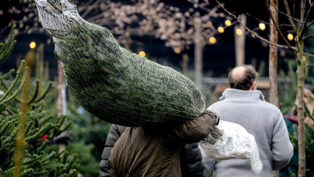 'Kerst is een feest van licht en als ik ergens naar uitkijk, dan is het dat wel'