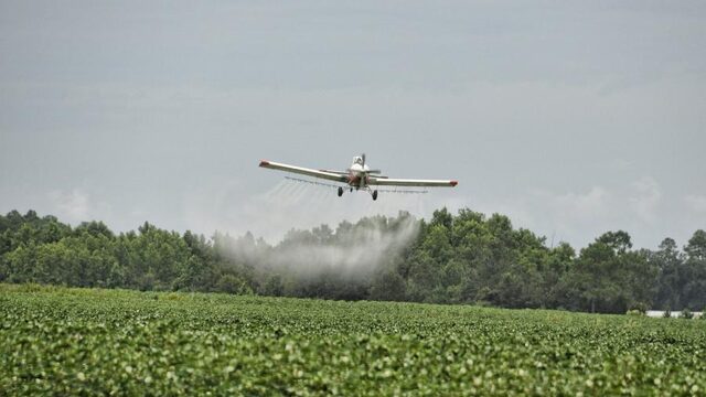 Hoe de Europese bureaucratie bijen bestrijdt