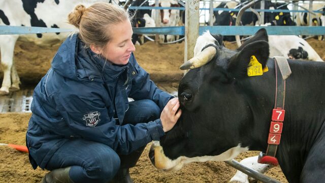 'Weinig mensen hebben reëel beeld van hoe hard boeren werken'