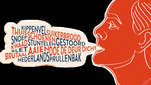 Gezocht: Brabantse accenten