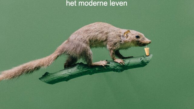 Hoe kunnen we een leven leiden dat beter bij ons lichaam past?