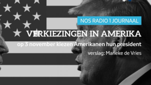 De Stemming in de VS