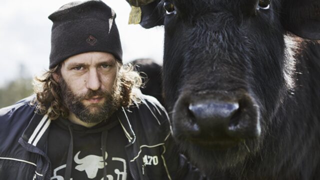 Kantoorbaan opgezegd om fulltime waterbuffelboer te worden