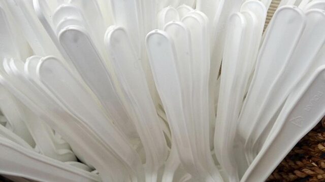 Wegwerpplastic vanaf 2021 verboden