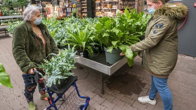 Recordjaar voor tuinbranche, consumenten massaal de tuin in tijdens corona
