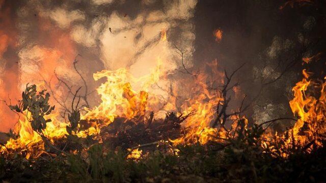 Ook in Noord-Europa steeds meer kans op natuurbranden