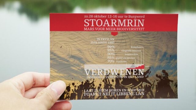 Een stormloop voor meer biodiversiteit