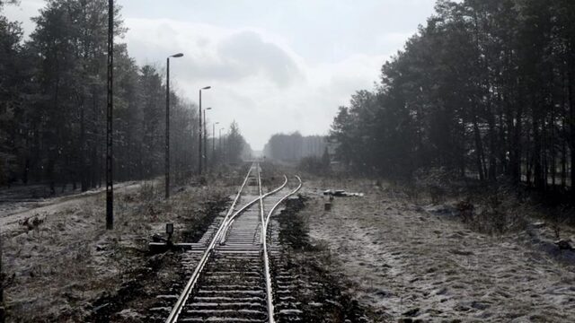 Overlevenden vernietigingskamp Sobibor sloegen Nazi's met bijl dood