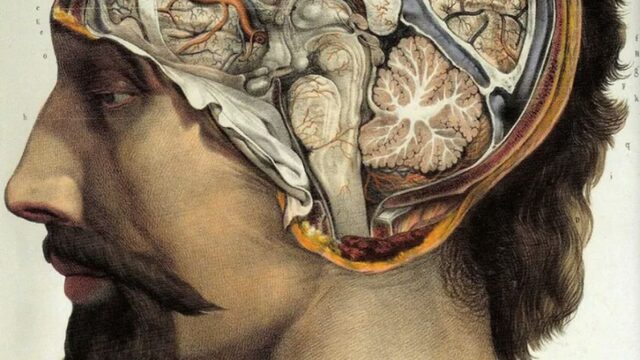 De heilzame werking van elektroshocks tegen depressie