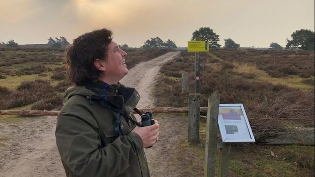 Toenemende drukte in natuur kan bedreiging vormen voor rust en ruimte broedende vogels