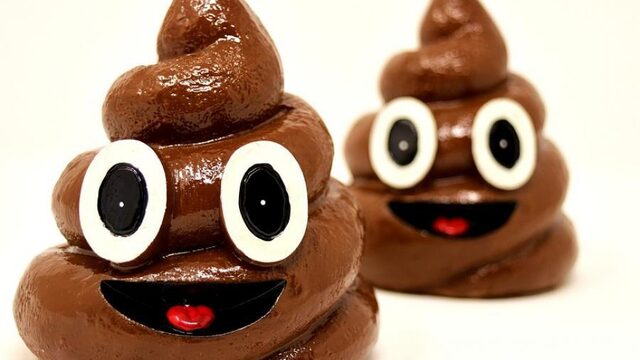 Kindervragen: hebben mensen die hetzelfde eten ook dezelfde poep?