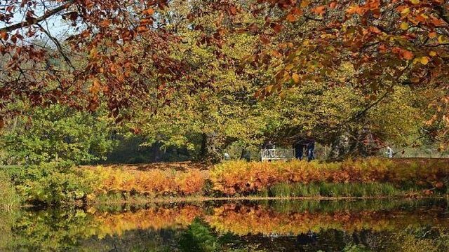2017 kent een vroege herfst