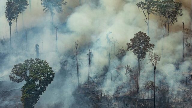 Stand.nl: Bolsonaro verzet zich terecht tegen de buitenlandse bemoeienis met het Amazonegebied
